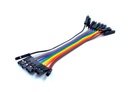 Set 10 cables Dupont 10 cm macho-hembra