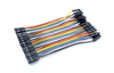 Set 40 cables Dupont 10 cm macho-hembra
