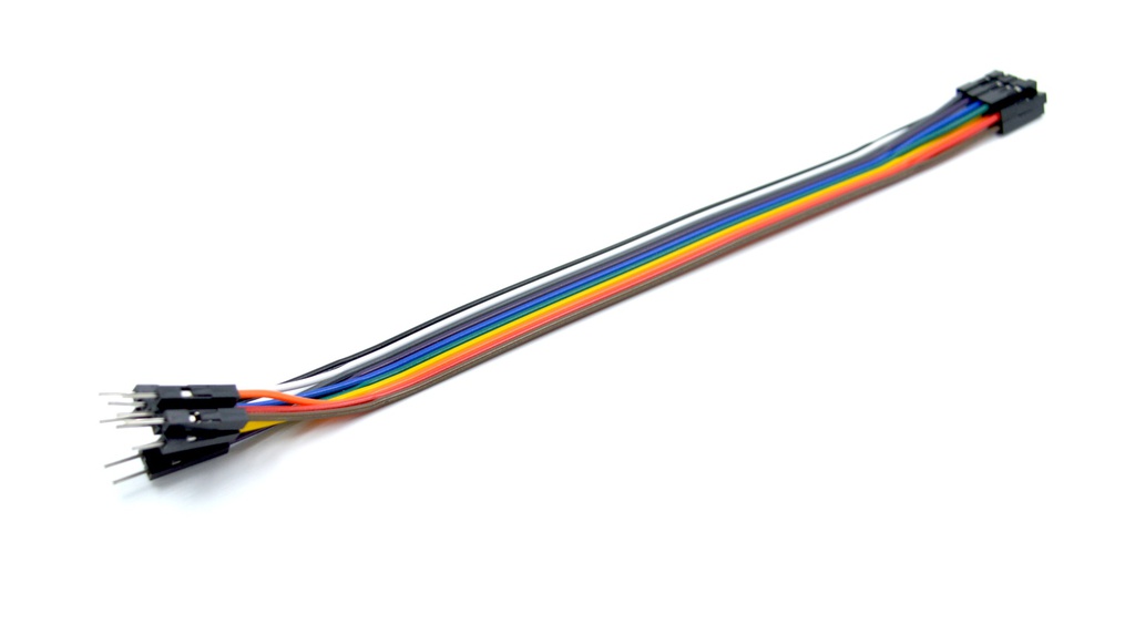 Set 10 cables Dupont 20 cm macho-hembra